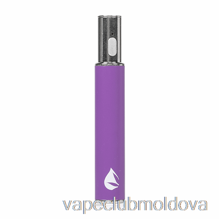 Kit Vape Pod Leaf Buddi Max Iii 3 Baterie 650mah Violet
